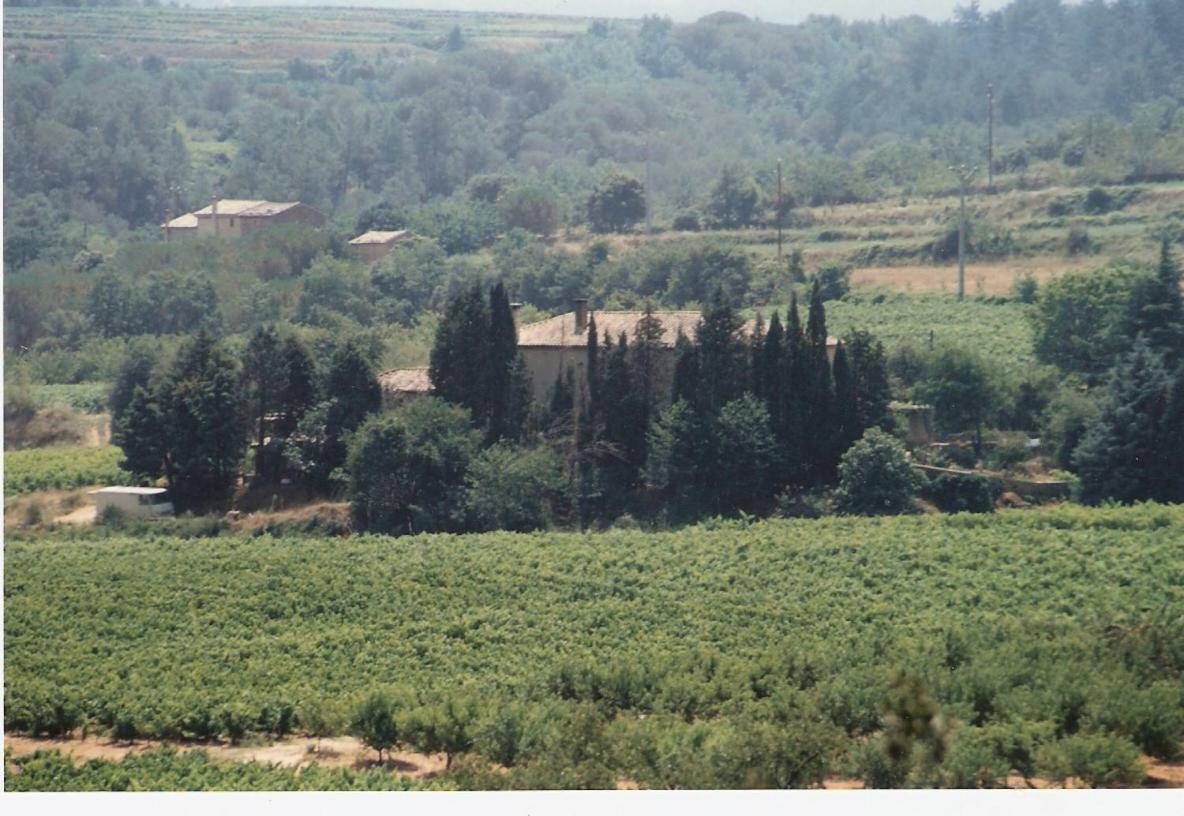 Domaine Chanoine Rambert Saint-Andre-d'Olerargues Ngoại thất bức ảnh